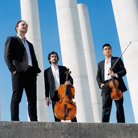 Trio Zadig - photo Hamed Haidara